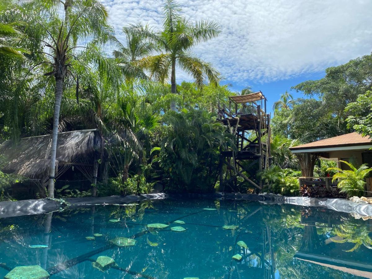 Vila Jardín Secreto Centro Holístico Acapulco Exteriér fotografie