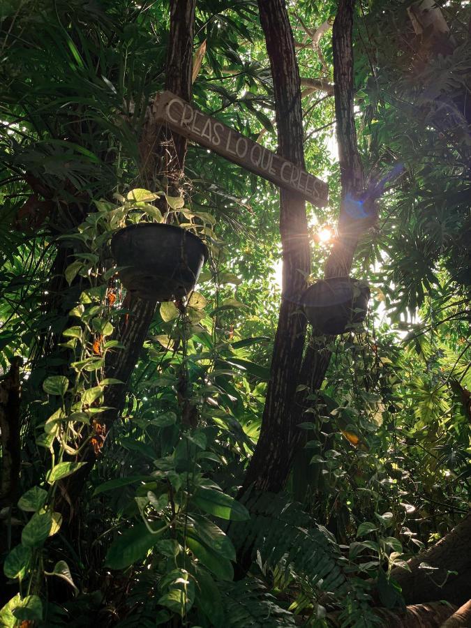 Vila Jardín Secreto Centro Holístico Acapulco Exteriér fotografie