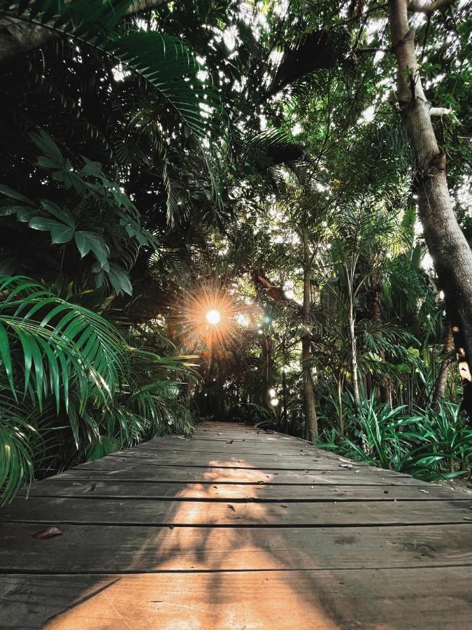 Vila Jardín Secreto Centro Holístico Acapulco Exteriér fotografie