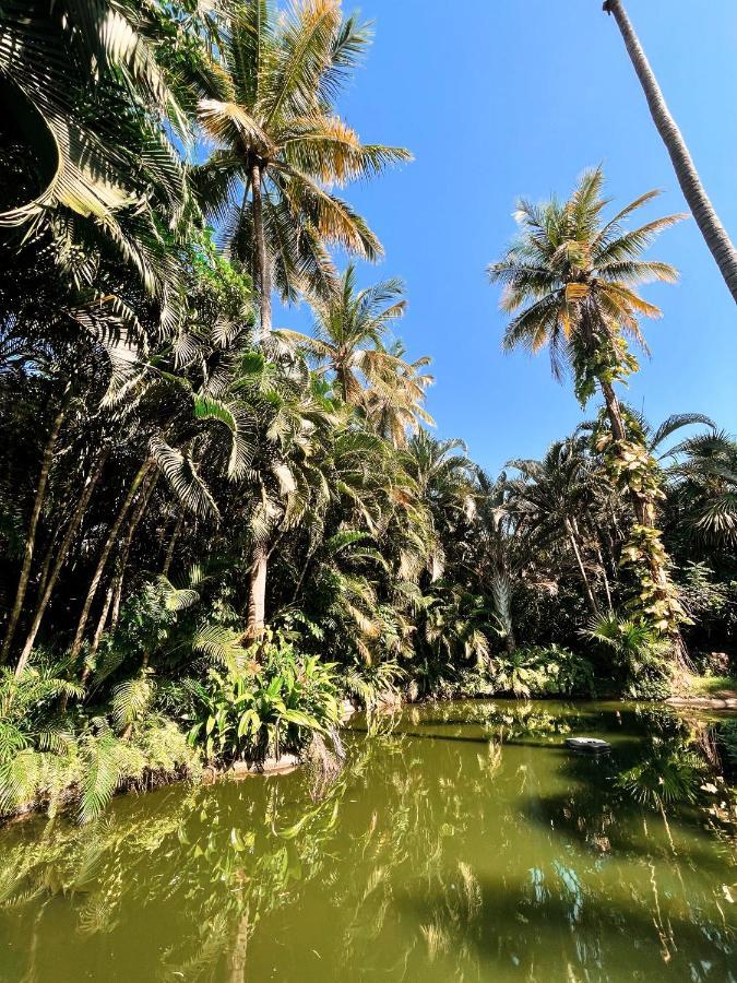 Vila Jardín Secreto Centro Holístico Acapulco Exteriér fotografie