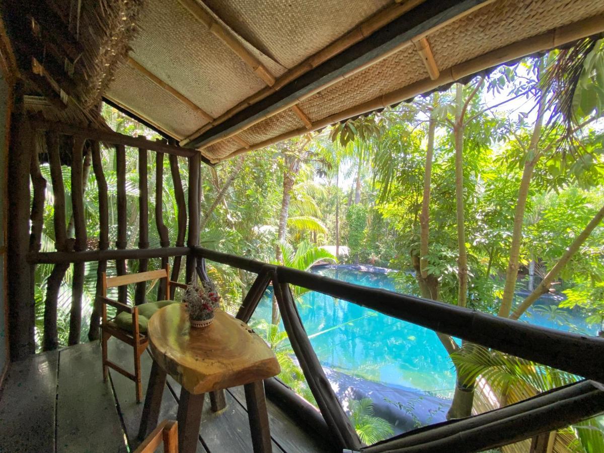 Vila Jardín Secreto Centro Holístico Acapulco Exteriér fotografie