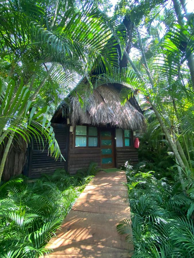 Vila Jardín Secreto Centro Holístico Acapulco Exteriér fotografie